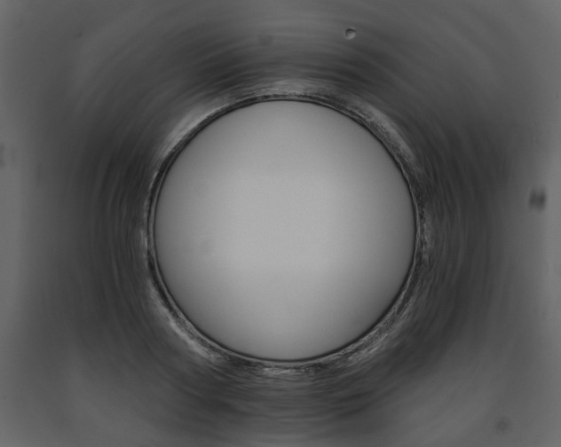 X0000091680794200708231106