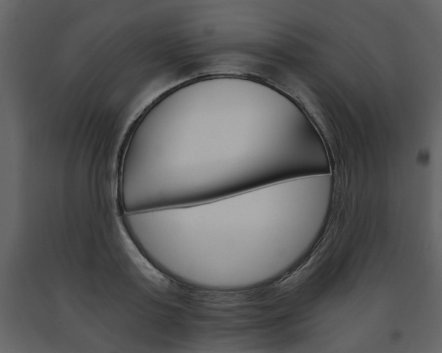 X0000091680795200708231106