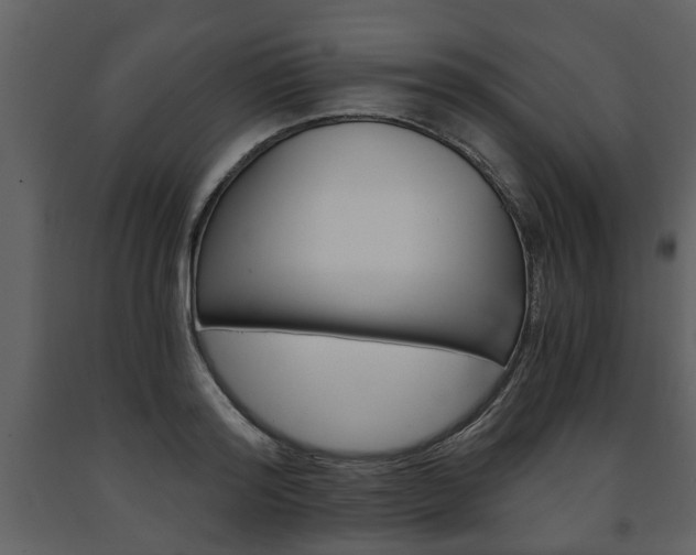 X0000091680796200708231106