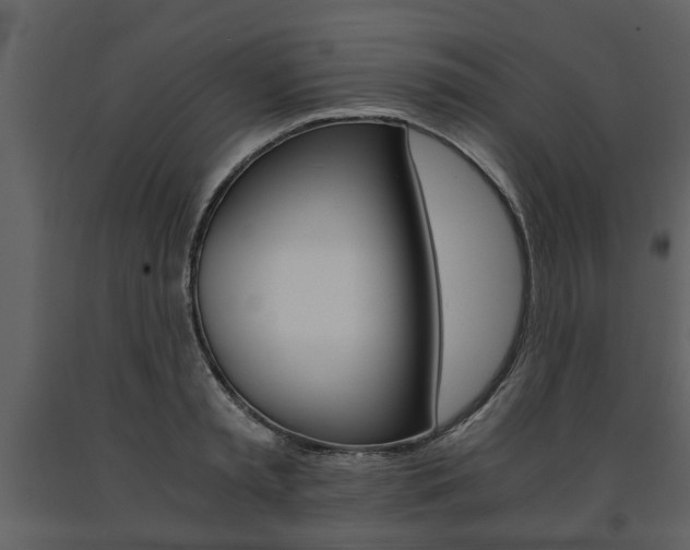 X0000091680797200708231106