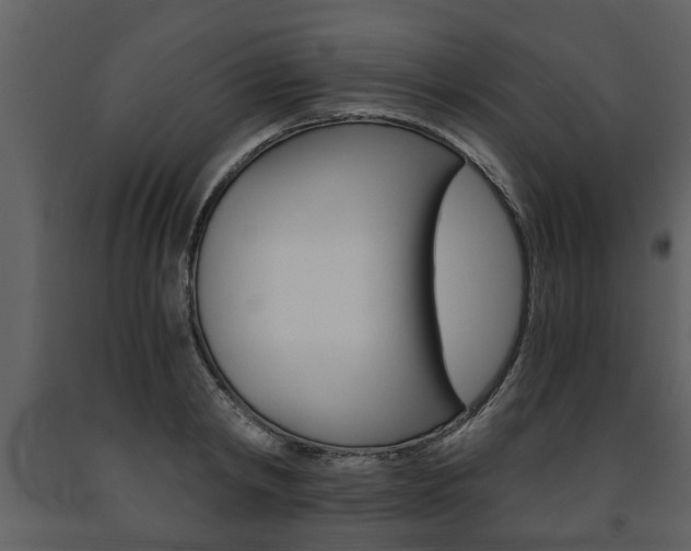 X0000091680798200708231106