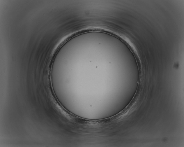 X0000091680799200708231106