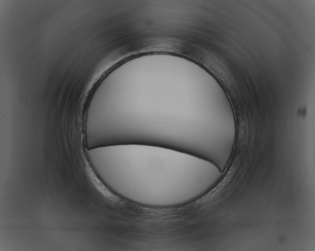 X0000091680800200708231106
