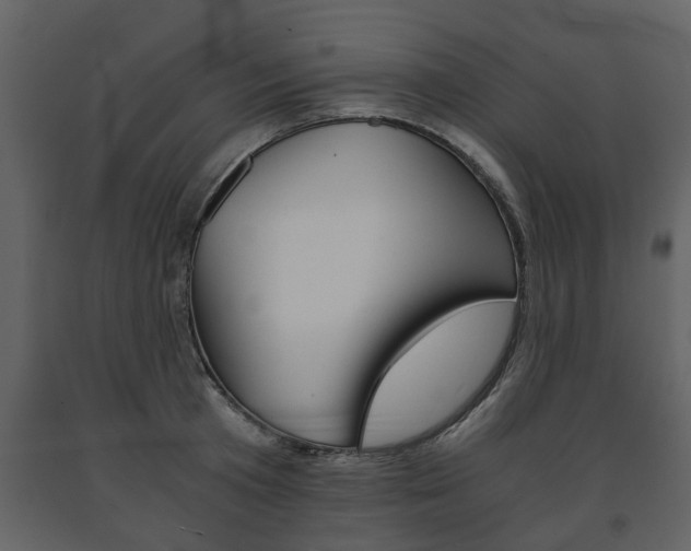 X0000091680801200708231106