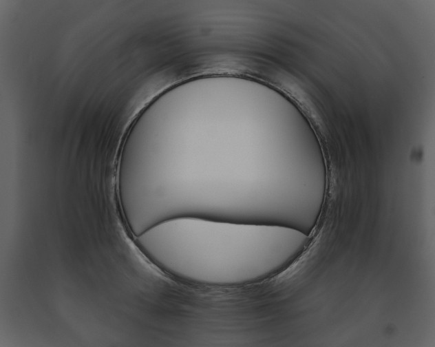 X0000091680802200708231106