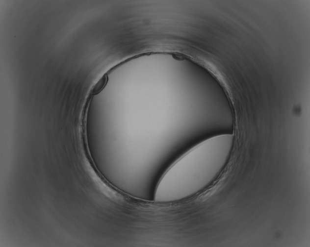 X0000091680803200708231106