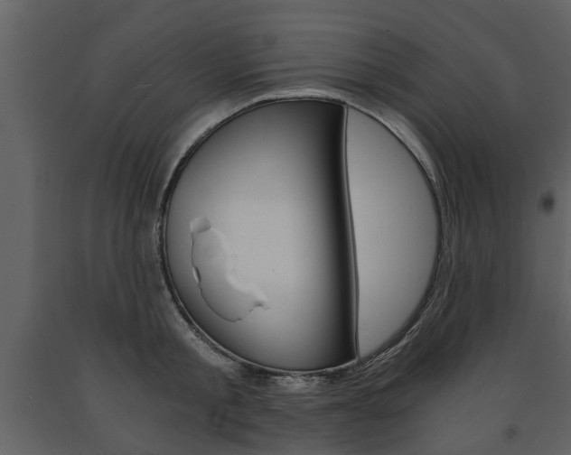 X0000091680805200708231106