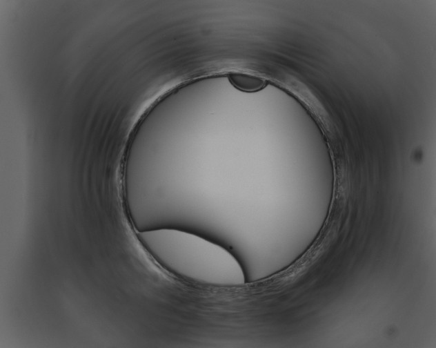 X0000091680806200708231106
