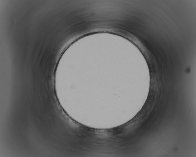 X0000091680807200708231106