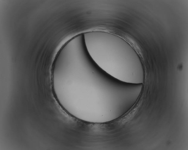 X0000091680808200708231106