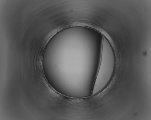 X0000091680809200708231106