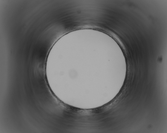X0000091680810200708231106