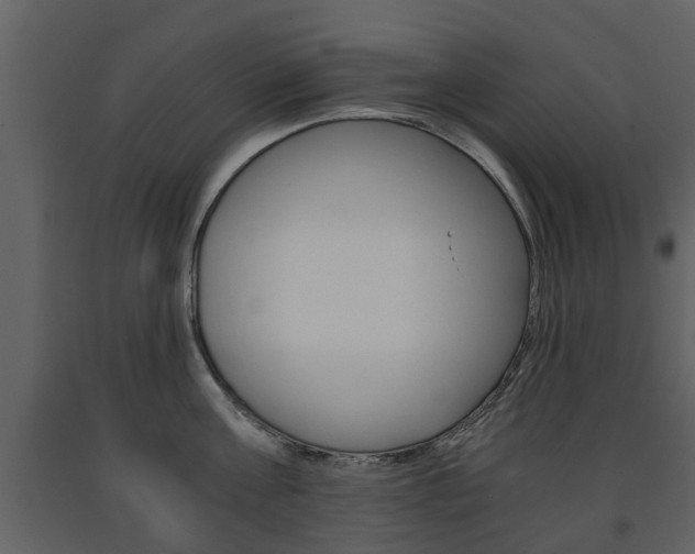 X0000091680811200708231106