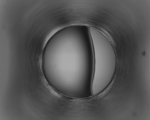 X0000091680812200708231106