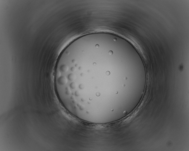 X0000091680814200708231106