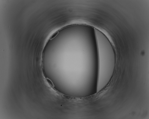 X0000091680815200708231106
