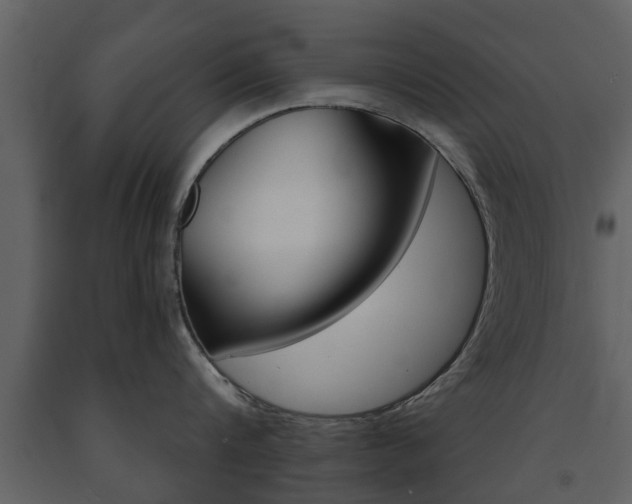X0000091680816200708231106