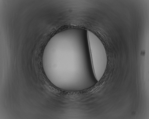 X0000091680817200708231105