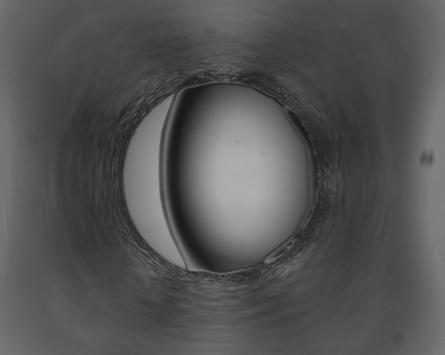 X0000091680818200708231105