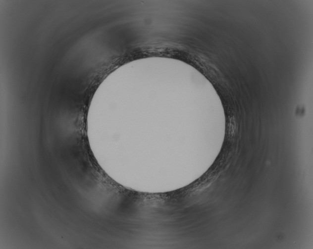X0000091680820200708231105