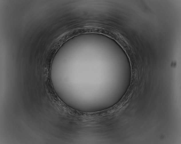 X0000091680821200708231105