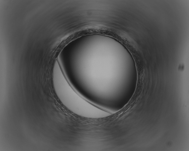 X0000091680822200708231105