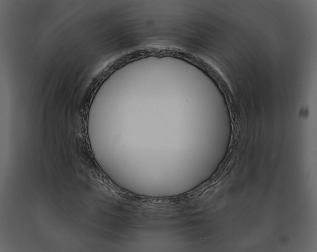 X0000091680823200708231105
