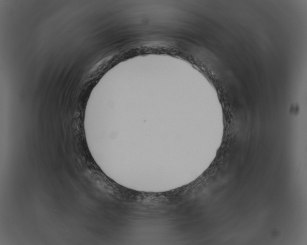 X0000091680824200708231105