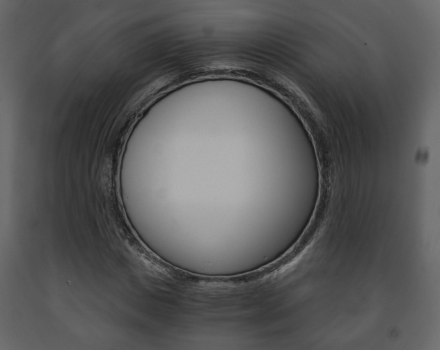 X0000091680825200708231105