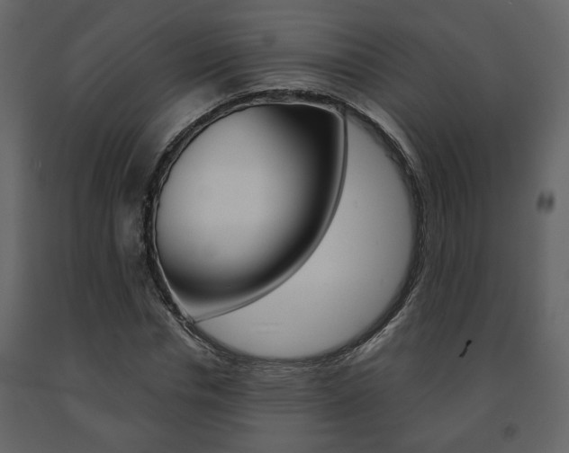 X0000091680826200708231105