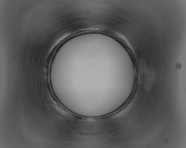 X0000091680827200708231105