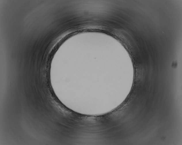 X0000091680828200708231105