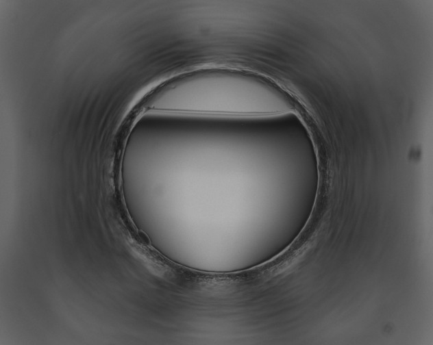 X0000091680830200708231105