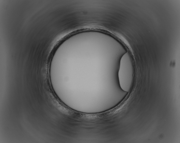 X0000091680831200708231105