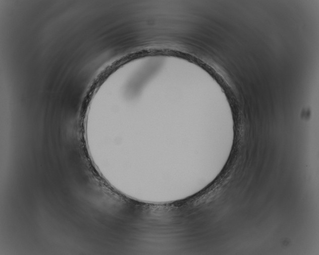 X0000091680832200708231105