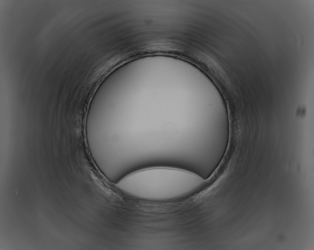X0000091680833200708231105