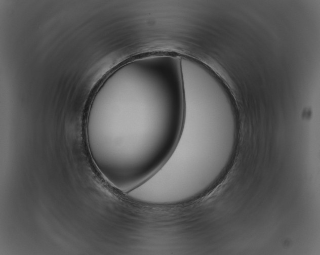X0000091680834200708231106