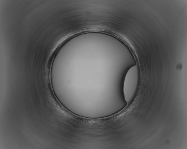 X0000091680835200708231106