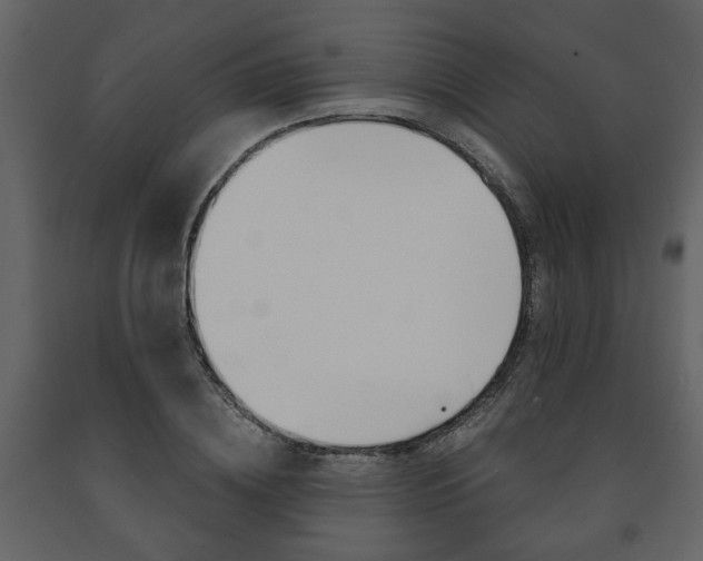 X0000091680836200708231106