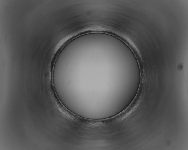 X0000091680837200708231106