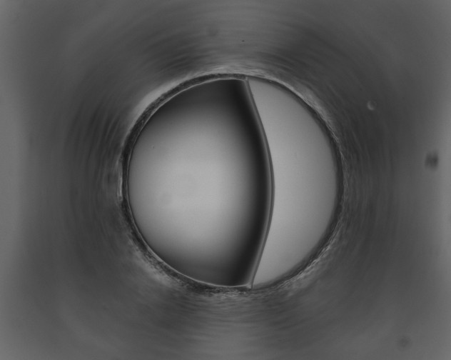 X0000091680838200708231106