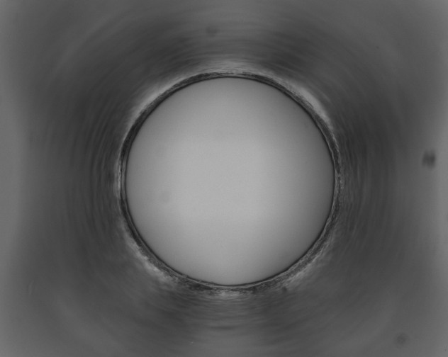 X0000091680839200708231106