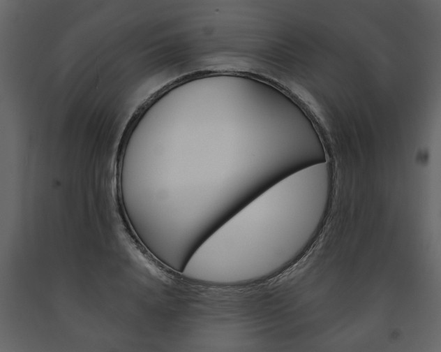 X0000091680840200708231106