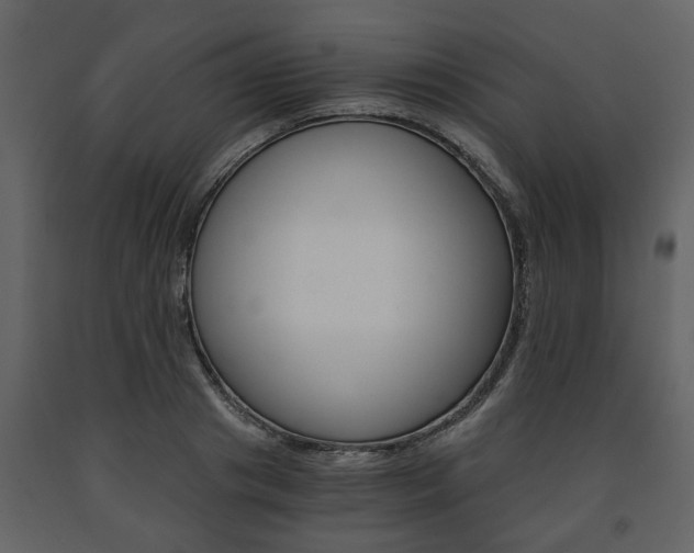 X0000091680841200708231106