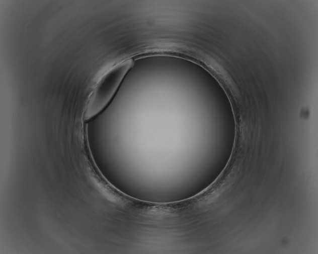 X0000091680842200708231106