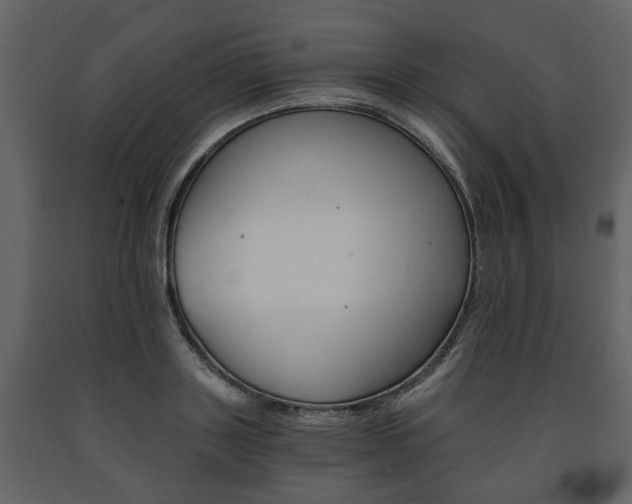 X0000091680843200708231106