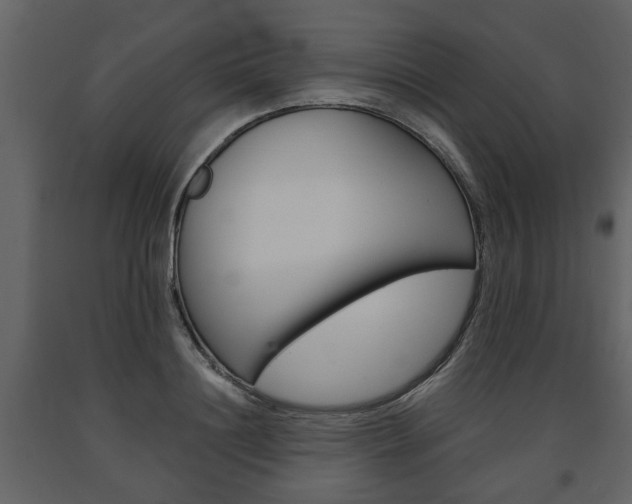 X0000091680844200708231106