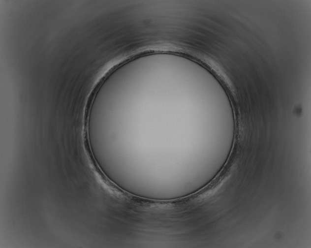 X0000091680845200708231106