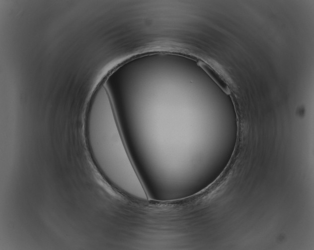 X0000091680846200708231106
