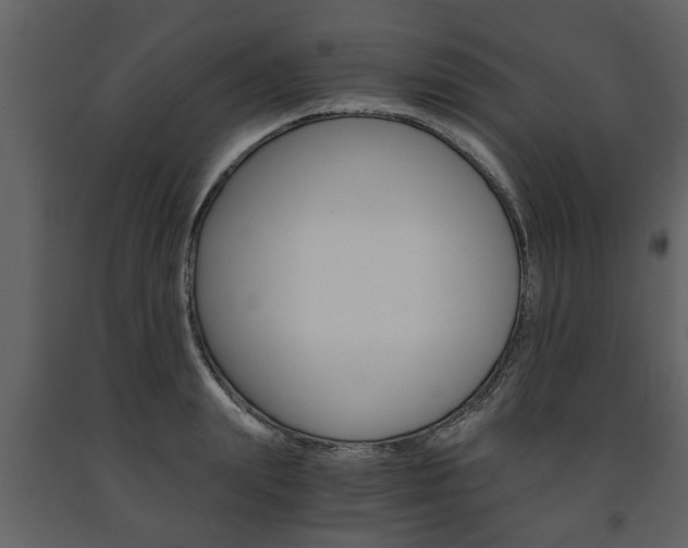 X0000091680847200708231106